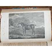 Picture 7 of 9 for BB08-57018021101