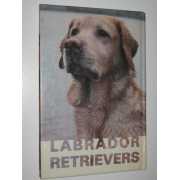 Picture 2 of 2 for MB02-21070134