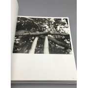 Picture 3 of 3 for CC00-081998