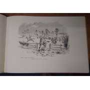 Picture 5 of 5 for TP01-45272