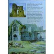 Picture 2 of 2 for P000-276797