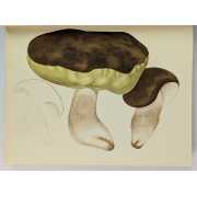 Picture 3 of 6 for LU00-0036675