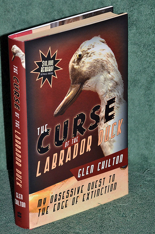 The Curse of the Labrador Duck