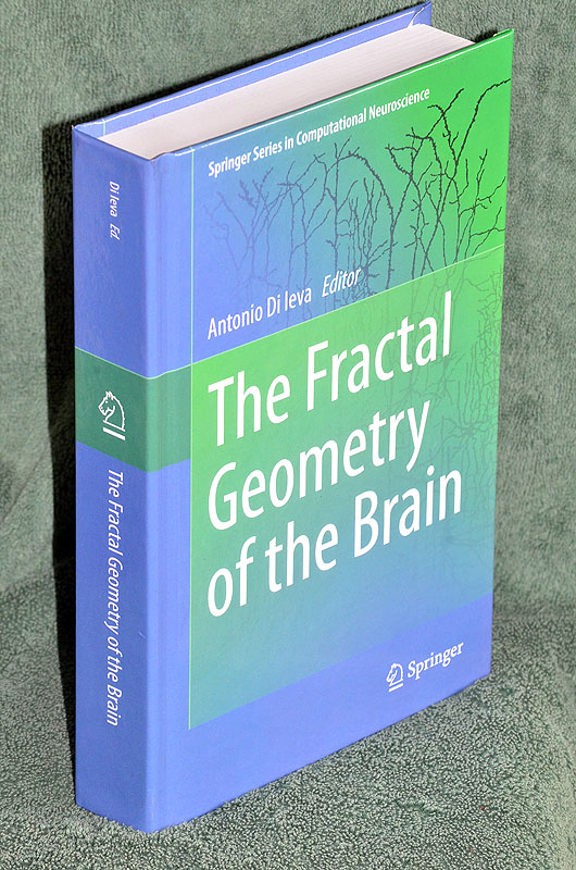 The Fractal Geometry of the Brain