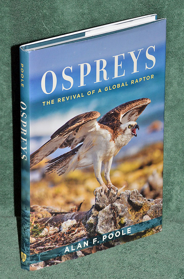 Ospreys: The Revival of a Global Raptor by Alan F. Poole