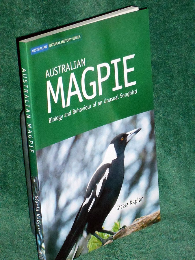 Australian Magpie: Biology and Behaviour of an Unusual Songbird